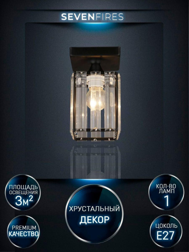 Потолочный светильник Seven Fires Netta WD3519/1C-BK-CL Потолочный светильник Seven Fires Netta WD3519/1C-BK-CL