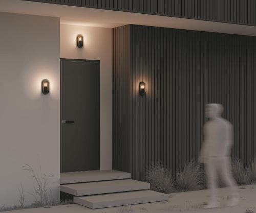 Настенный светильник (бра) Outdoor O449WL-01GF Настенный светильник (бра) Outdoor O449WL-01GF