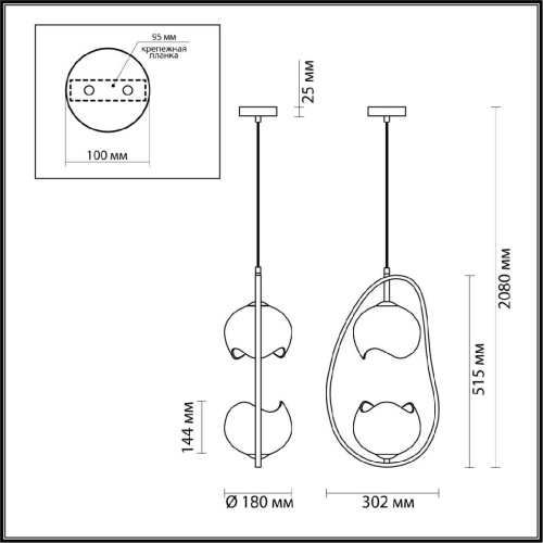 Подвесной светильник Odeon Light Modern Waterlily 4873/2 Подвесной светильник Odeon Light Modern Waterlily 4873/2