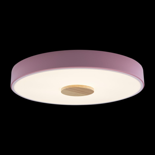 Потолочный светодиодный светильник Loft IT Axel 10003/24 pink Потолочный светодиодный светильник Loft IT Axel 10003/24 pink
