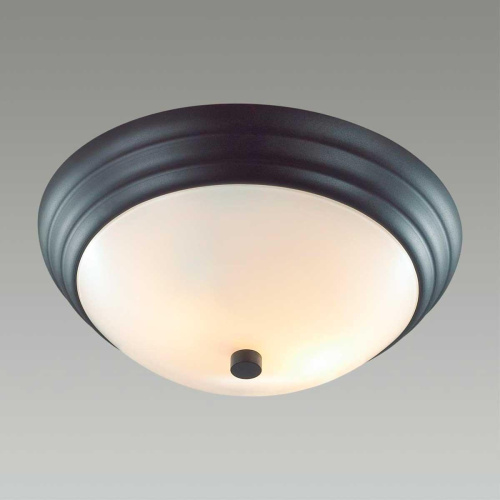 Настенно-потолочный Lumion Vintage Kayla 5263/2C