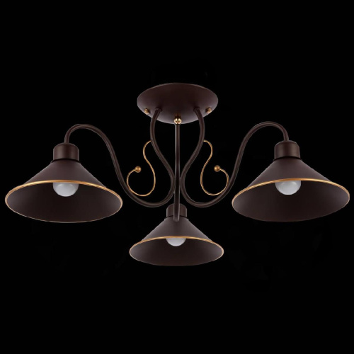 Потолочная люстра Evoluce Ciolla SLE120402-03