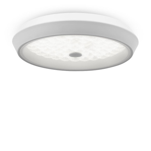 Потолочный светодиодный светильник Freya Cells FR10012CL-L24W