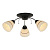 Потолочная люстра Toplight Winnifred TL1255D-03BC