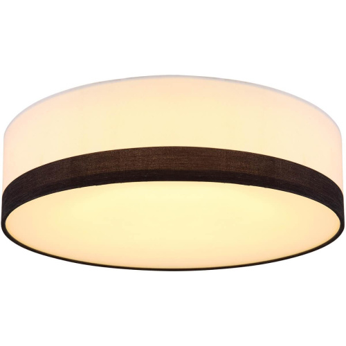 Потолочный светодиодный светильник Globo Maggy 15385D1