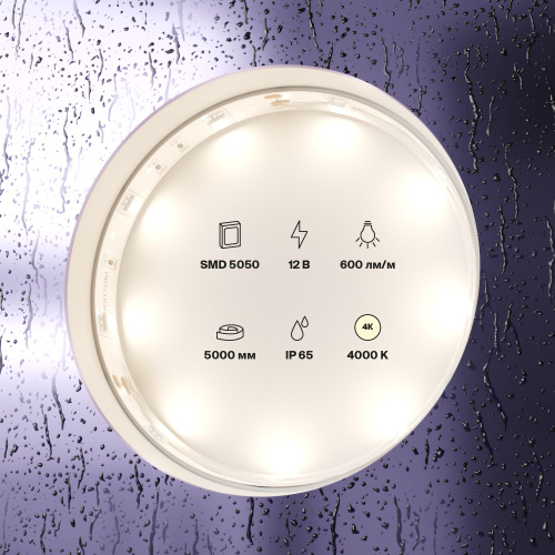 Светодиодная влагозащищенная лента Maytoni Technical 7,2W/m 30LED/m 5050SMD дневной белый 5M 10124 Светодиодная влагозащищенная лента Maytoni Technical 7,2W/m 30LED/m 5050SMD дневной белый 5M 10124