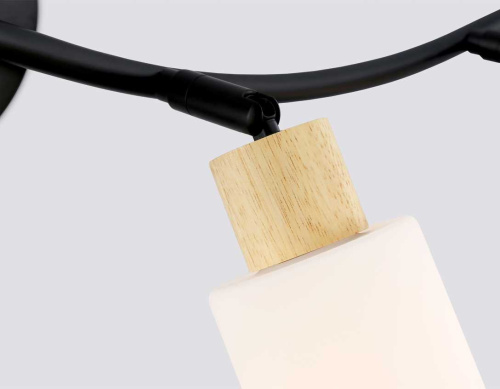 Настенно-потолочный спот Ambrella light TRADITIONAL TR8723