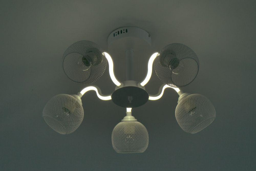 Потолочная люстра Escada 10238/5LED