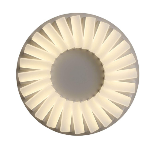 Потолочный светодиодный светильник ST Luce Tifoso SL837.502.24