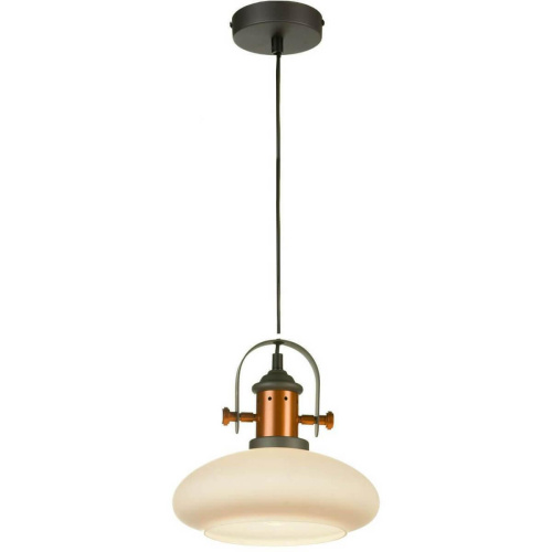 Подвесной светильник Lussole Loft GRLSP-9845 Подвесной светильник Lussole Loft GRLSP-9845