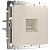 Розетка Ethernet RJ-45 Werkel айвори W1181062 4690389192241