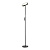 Торшер Lussole Carmel LSP-0901-SE