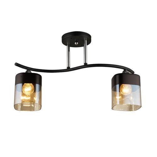 Потолочная люстра Wedo Light Алид 65999.01.13.02