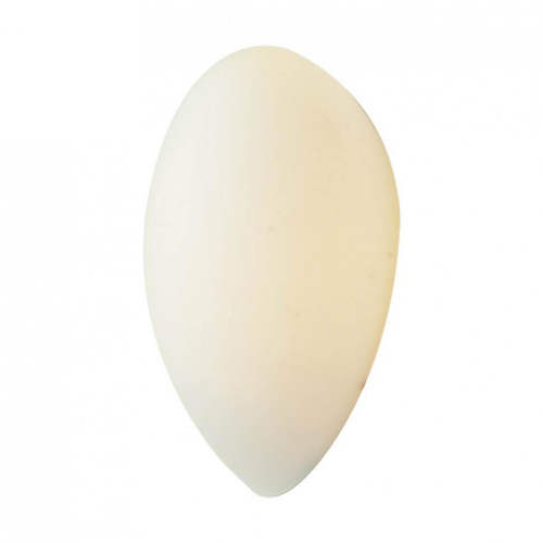 Настенный светильник ST Luce Bagno SL507.551.01