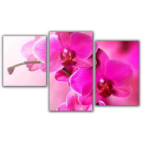 Мини модульная картина Розовый пестик Toplight 55х94см TL-MM1039