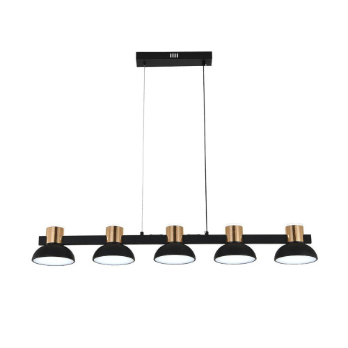 Подвесная светодиодная люстра Indigo Traforo 11059/5PL Black V000184L Подвесная светодиодная люстра Indigo Traforo 11059/5PL Black V000184L