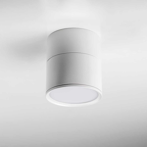 Накладной светодиодный светильник Lightstar Acuto 215886