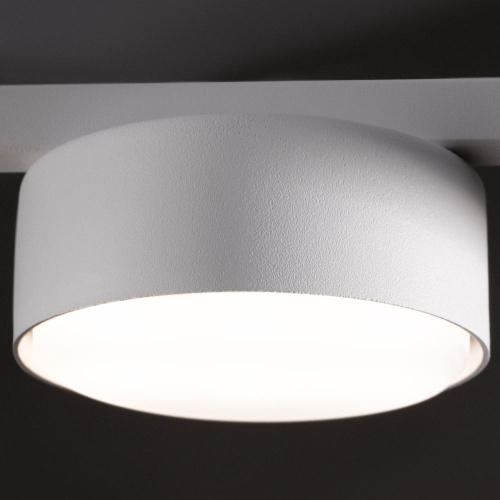 Потолочный светильник Freya FR5363CL-03W Потолочный светильник Freya FR5363CL-03W