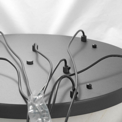 Подвесная люстра Lussole Loft LSP-8506 Подвесная люстра Lussole Loft LSP-8506