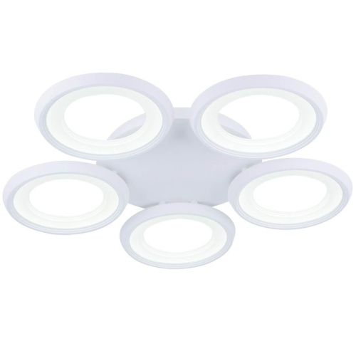 Потолочный светодиодный светильник Freya Blis FR6010CL-L82W