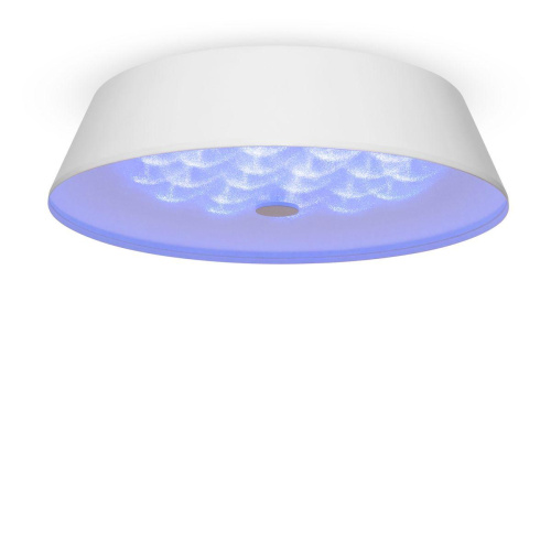 Потолочный светодиодный светильник Freya Cells FR10013CL-L24W