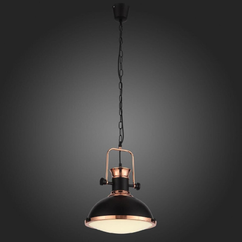 Подвесной светильник ST Luce Lanterio SL404.403.01 Подвесной светильник ST Luce Lanterio SL404.403.01