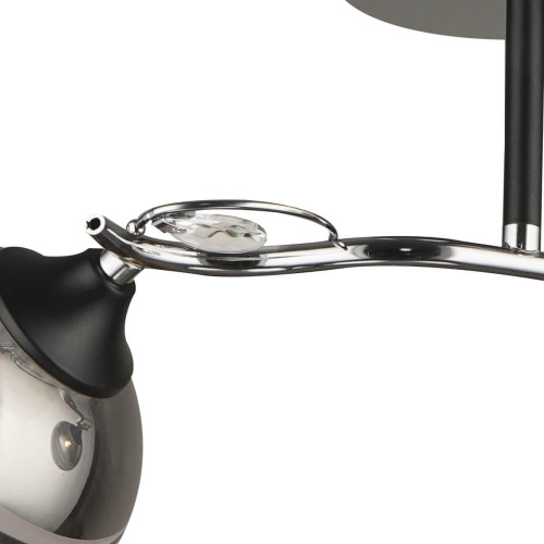 Потолочная люстра Wedo Light Марцио 66347.01.13.02