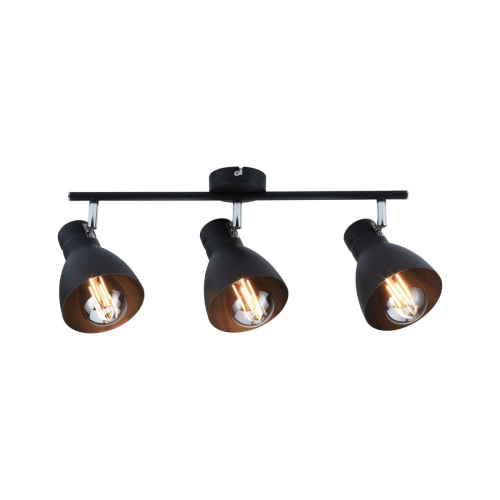 Спот Paulmann Davy 66761