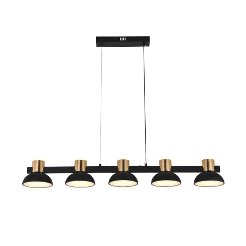 Подвесная светодиодная люстра Indigo Traforo 11059/5PL Black V000184L Подвесная светодиодная люстра Indigo Traforo 11059/5PL Black V000184L
