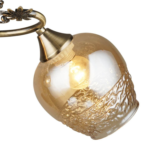 Потолочная люстра Wedo Light Альби 66364.01.05.02