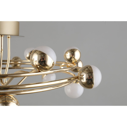 Потолочная светодиодная люстра Aployt Delfin APL.774.07.54