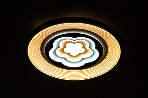 Потолочный светодиодный светильник Escada 10229/S LED