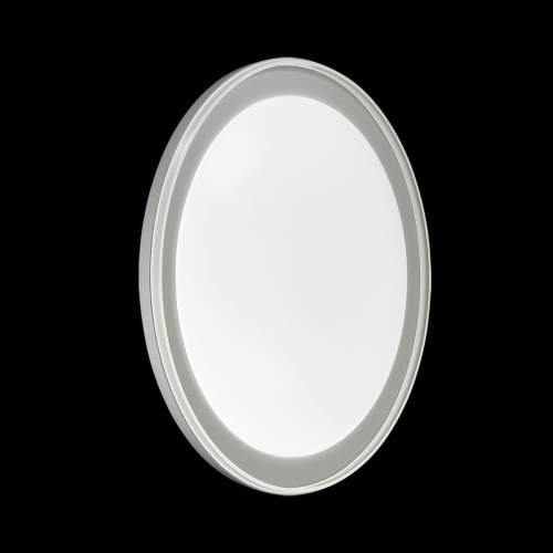 Настенно-потолочный светодиодный светильник Sonex Pale Kabrio 2049/EL