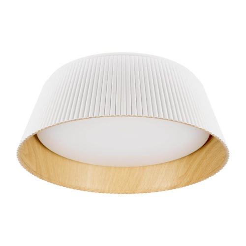 Потолочный светодиодный светильник Loft IT Evans 10224 White Потолочный светодиодный светильник Loft IT Evans 10224 White