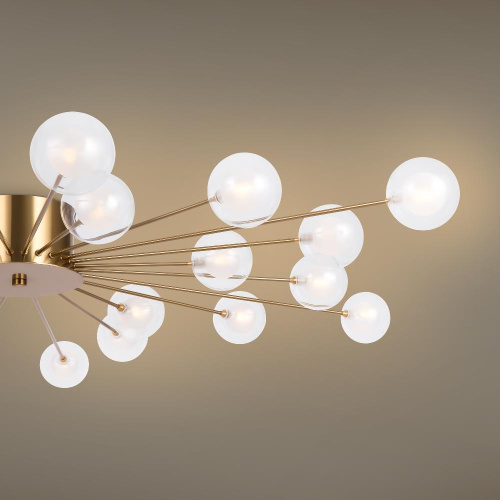 Потолочный светильник Freya FR5242CL-24BS1 Потолочный светильник Freya FR5242CL-24BS1