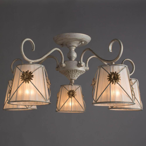 Потолочная люстра Arte Lamp 72 A5495PL-5WG
