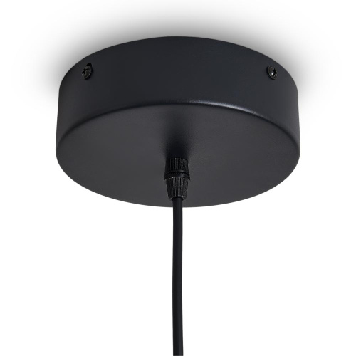 Подвесной светильник Freya FR6181PL-L6B Подвесной светильник Freya FR6181PL-L6B