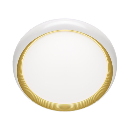 Настенно-потолочный светодиодный светильник Sonex Pale Tofiq White 7650/DL Настенно-потолочный светодиодный светильник Sonex Pale Tofiq White 7650/DL