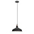 Подвесной светильник ЭРА Loft PL2 BK/RC Б0037413