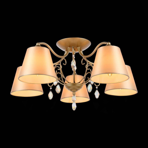 Потолочная люстра Evoluce Rimonio SL1135.102.05