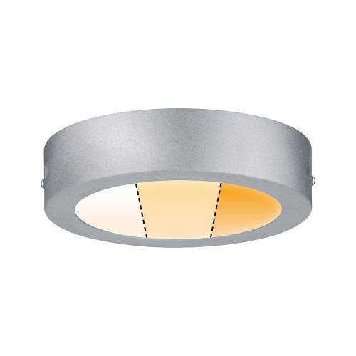 Потолочный светодиодный светильник Paulmann Carpo 79789