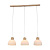 Подвесной светильник Arte Lamp Caprice A4184SP-3BR