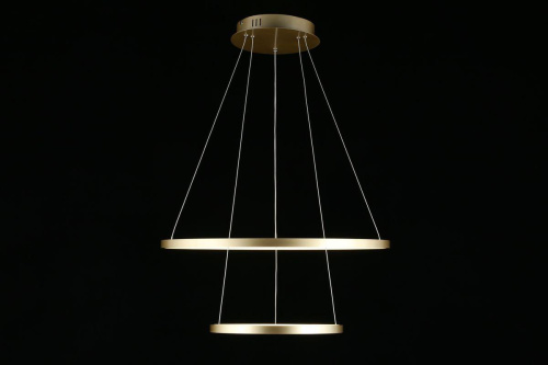 Подвесной светодиодный светильник Aployt Lunet APL.014.03.60