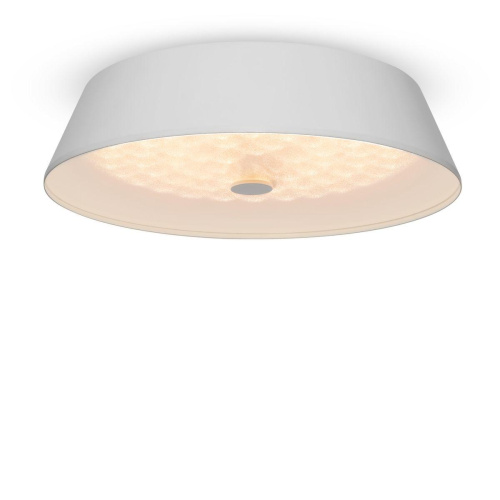 Потолочный светодиодный светильник Freya Cells FR10013CL-L24W