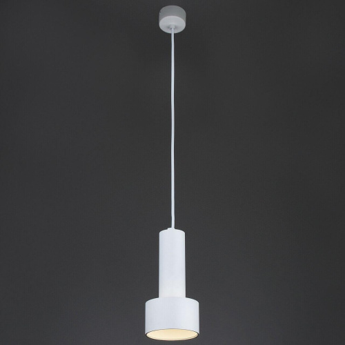 Подвесной светильник Eurosvet 50134/1 LED белый Подвесной светильник Eurosvet 50134/1 LED белый