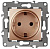 Розетка ЭРА 12 2P E Schuko со шторками 16A 250V 12-2102-14 Б0019325