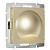 Встраиваемая LED подсветка Werkel Moon шампань W1154411 4690389179242