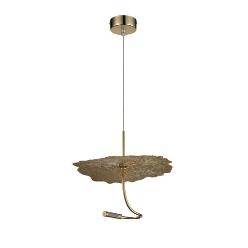 Подвесной светодиодный светильник iLedex Lotus 8827P-1 BR