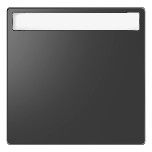 Клавиша одинарная Schneider Electric Merten D-Life MTN3360-6034