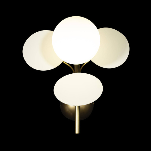 Бра Loft IT Matisse 10008/1W White Бра Loft IT Matisse 10008/1W White